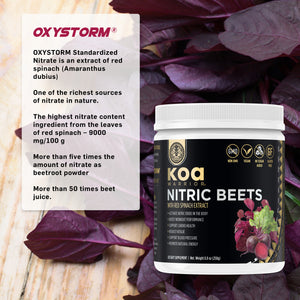 KOA WARRIOR® NITRIC BEETS™ WITH RED SPINACH EXTRACT
