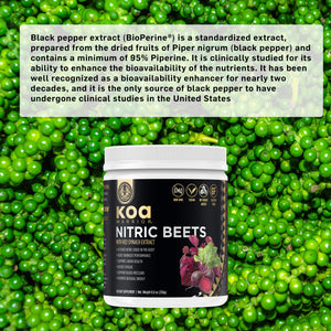 KOA WARRIOR® NITRIC BEETS™ WITH RED SPINACH EXTRACT